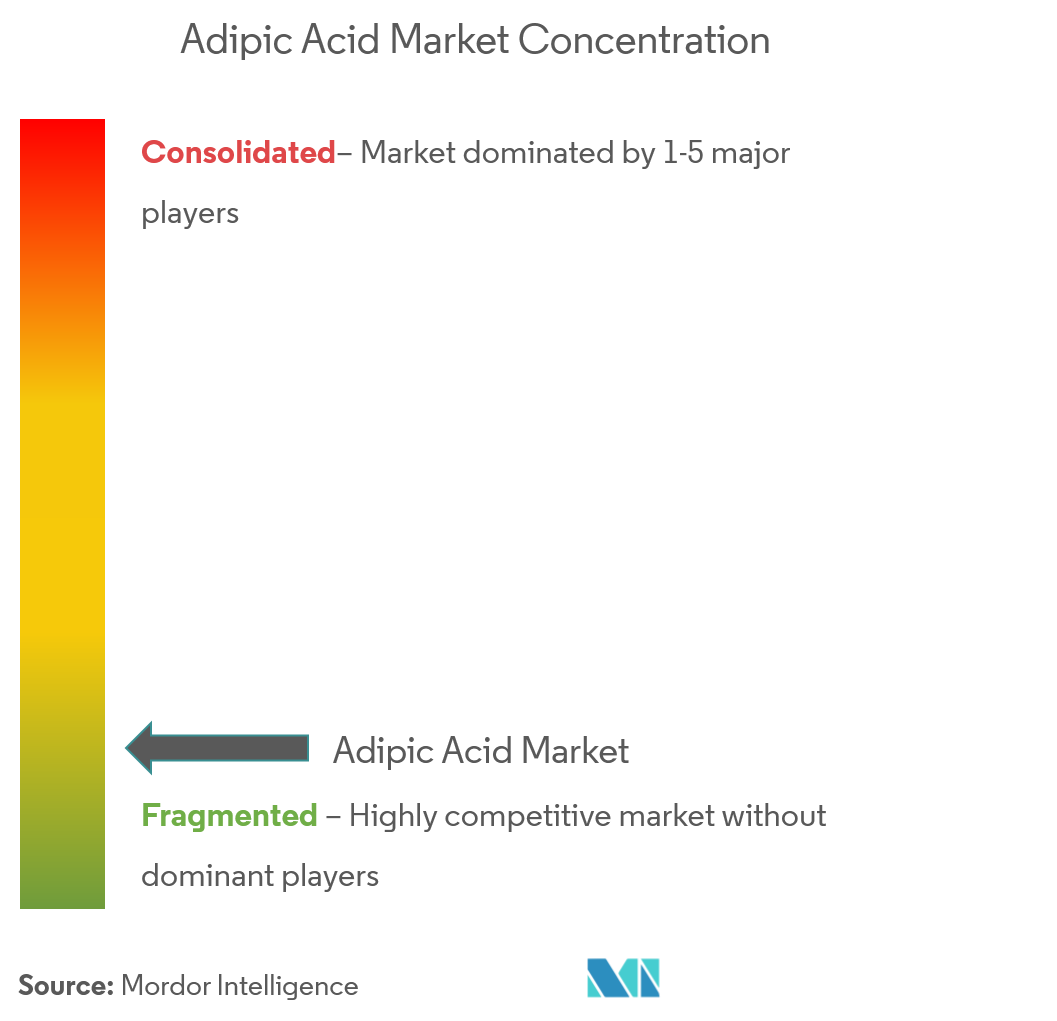 Adipic Acid Market Concentration Adipic Acid Market Concentration